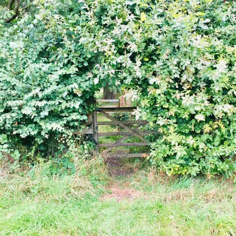 Reigate Farm Estate , L702 (photo 37)