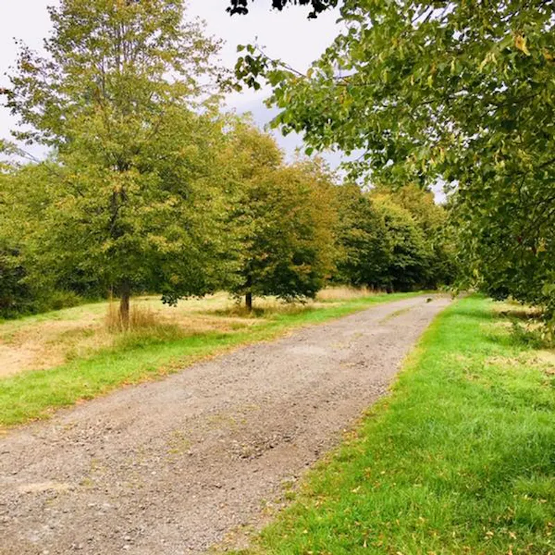 Reigate Farm Estate , L702 (photo 38)