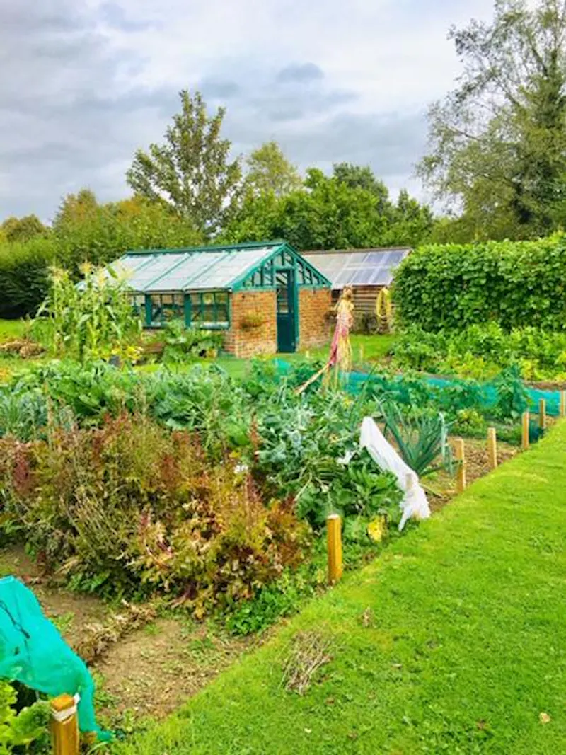 Greenhouse at Reigate Farm Estate , L702 (photo 41)