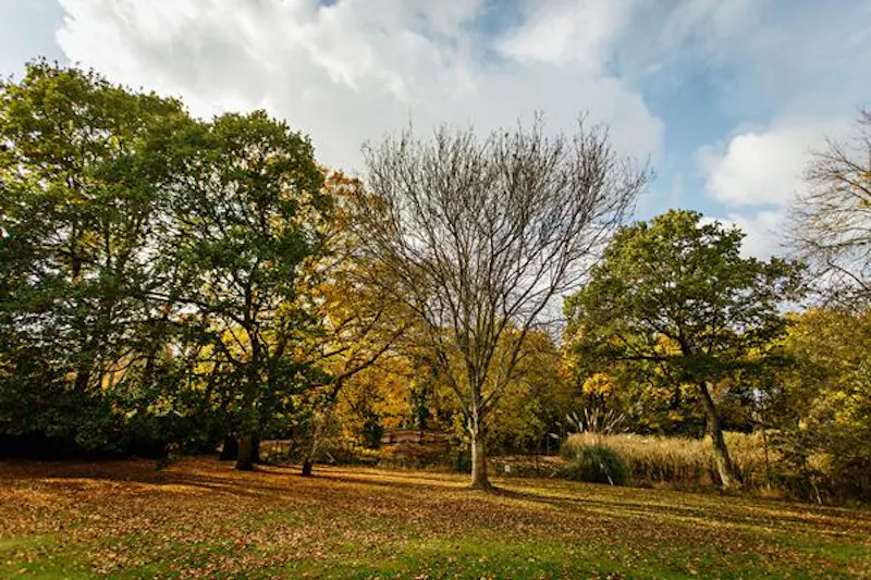 Burnham Tudor manor , M334 (photo 14)