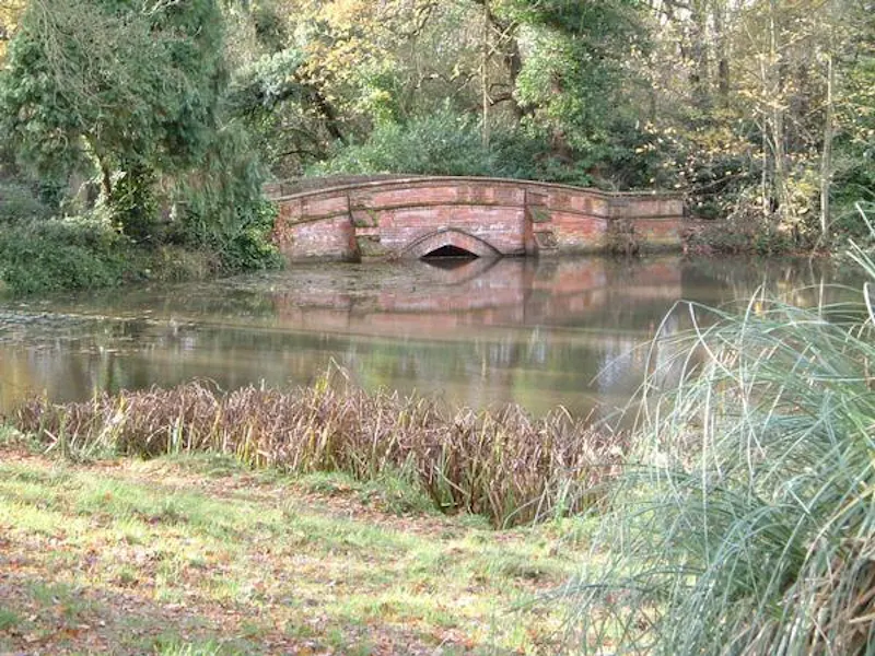 Burnham Tudor manor , M334 (photo 44)