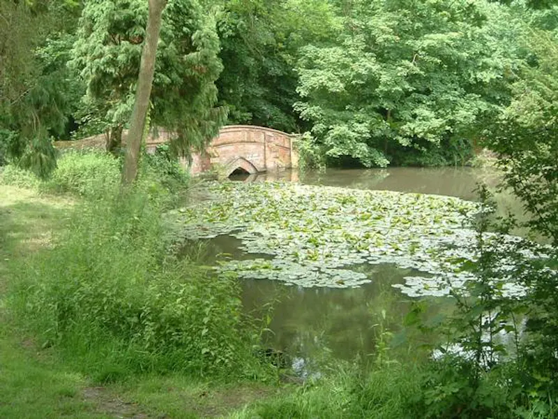 Burnham Tudor manor , M334 (photo 45)