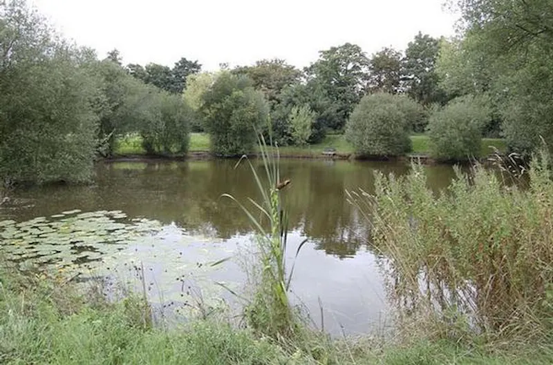 Lake at Burnham Tudor manor , M334 (photo 48)
