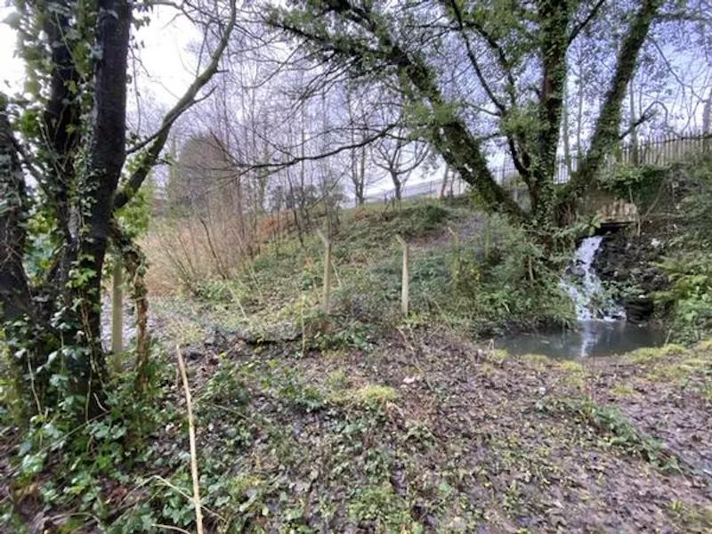 Woodland at Film location N474 in Wales (photo 2)