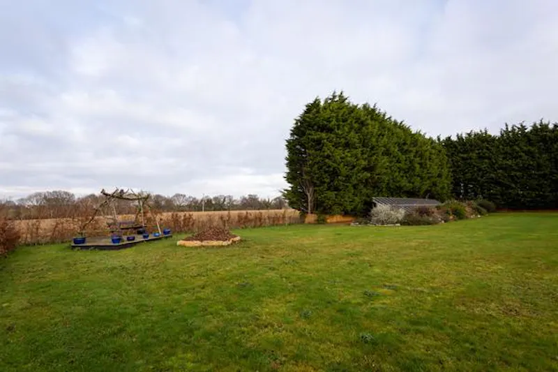 Garden at Film location CH112 in Essex (photo 91)