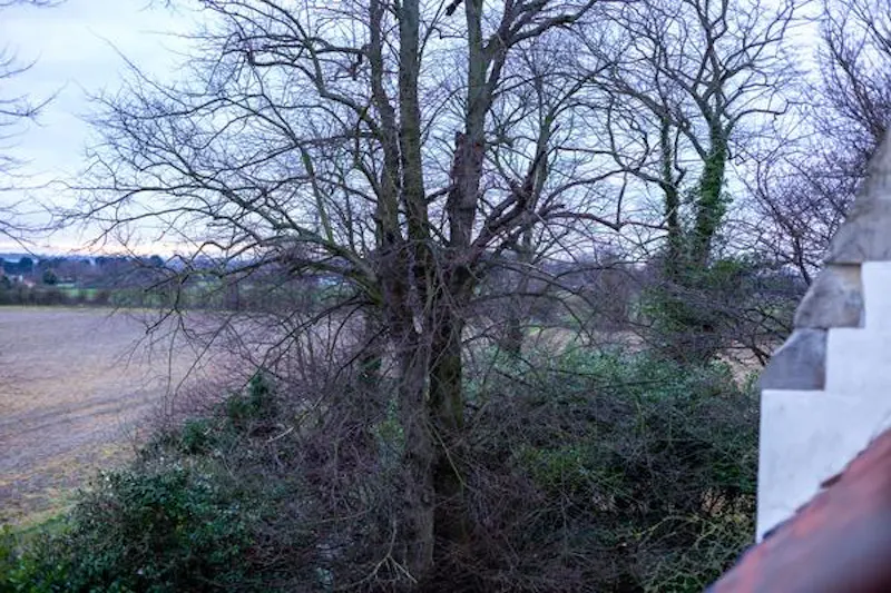 Film location CH112 in Essex (photo 94)