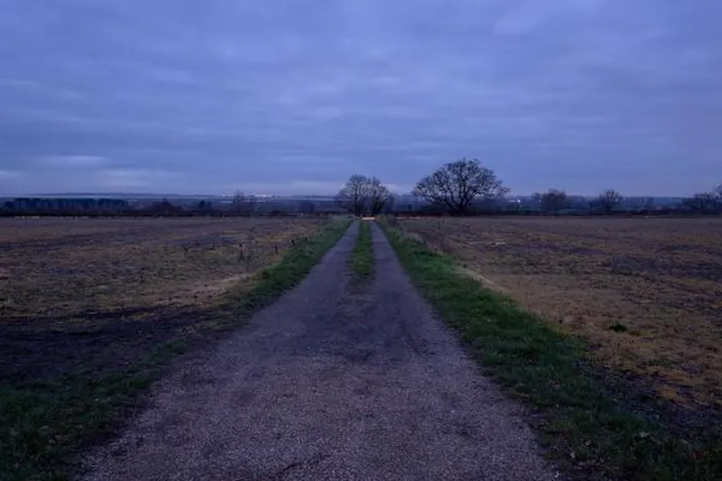Driveway at Film location CH112 in Essex (photo 99)