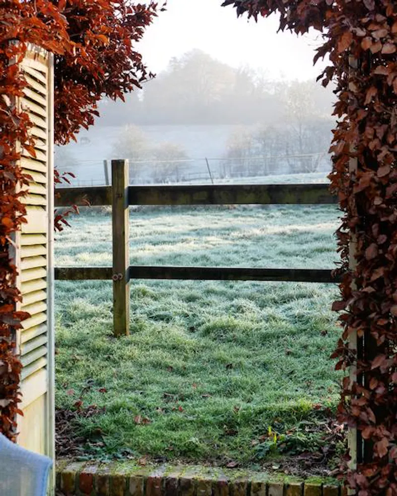 Garden at Film location D2452 in Surrey (photo 15)