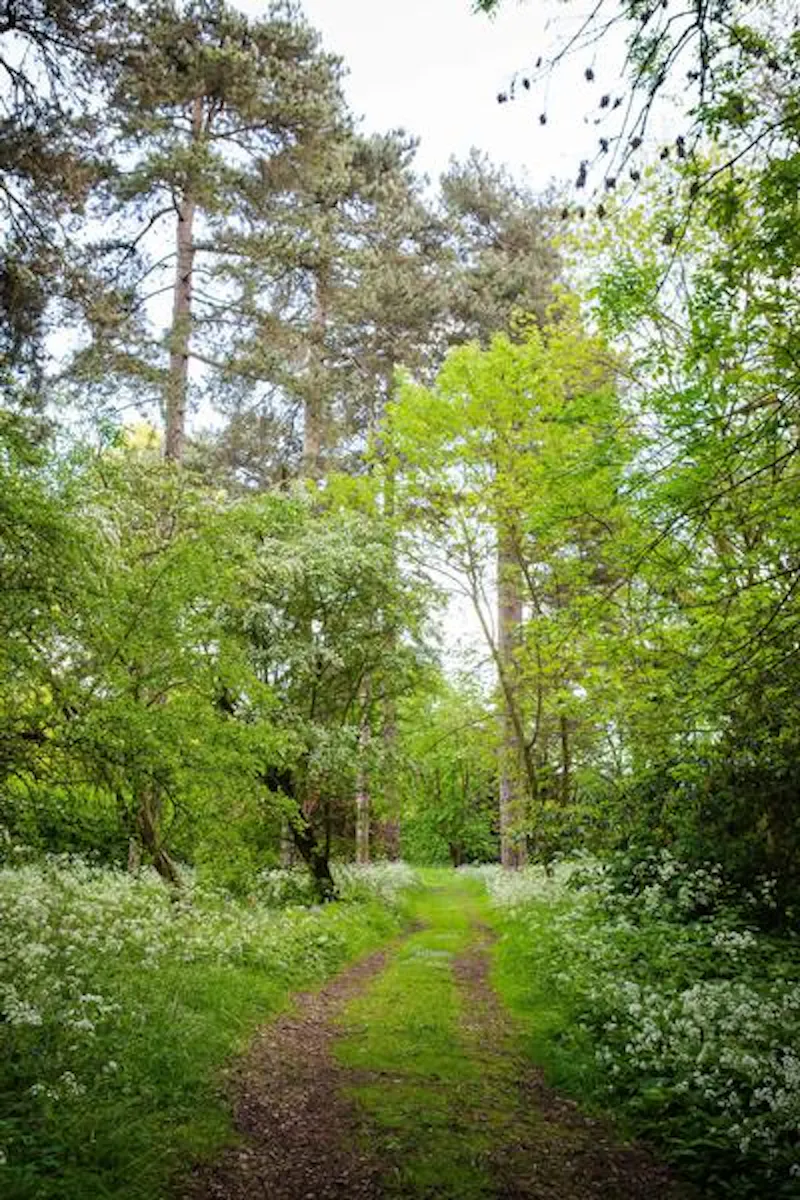 Film location A1522 in Leicestershire (photo 21)