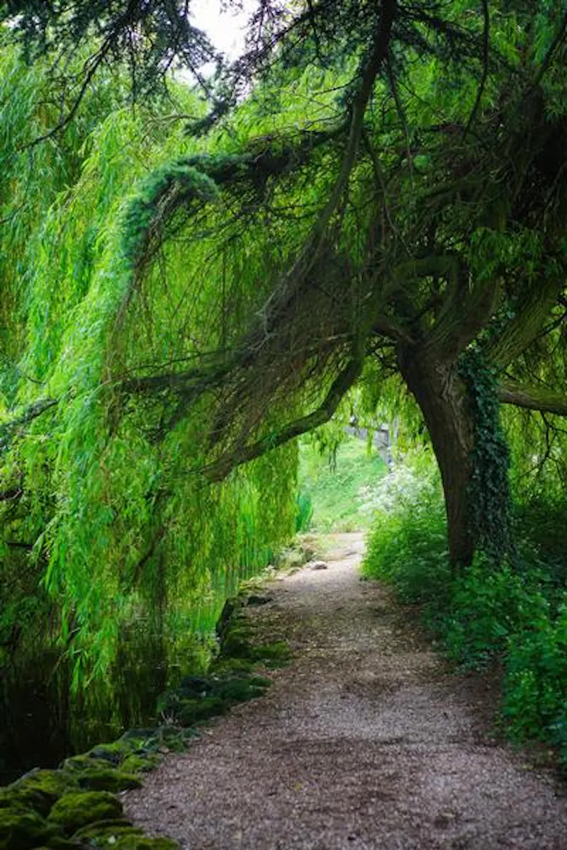 Film location A1522 in Leicestershire (photo 24)