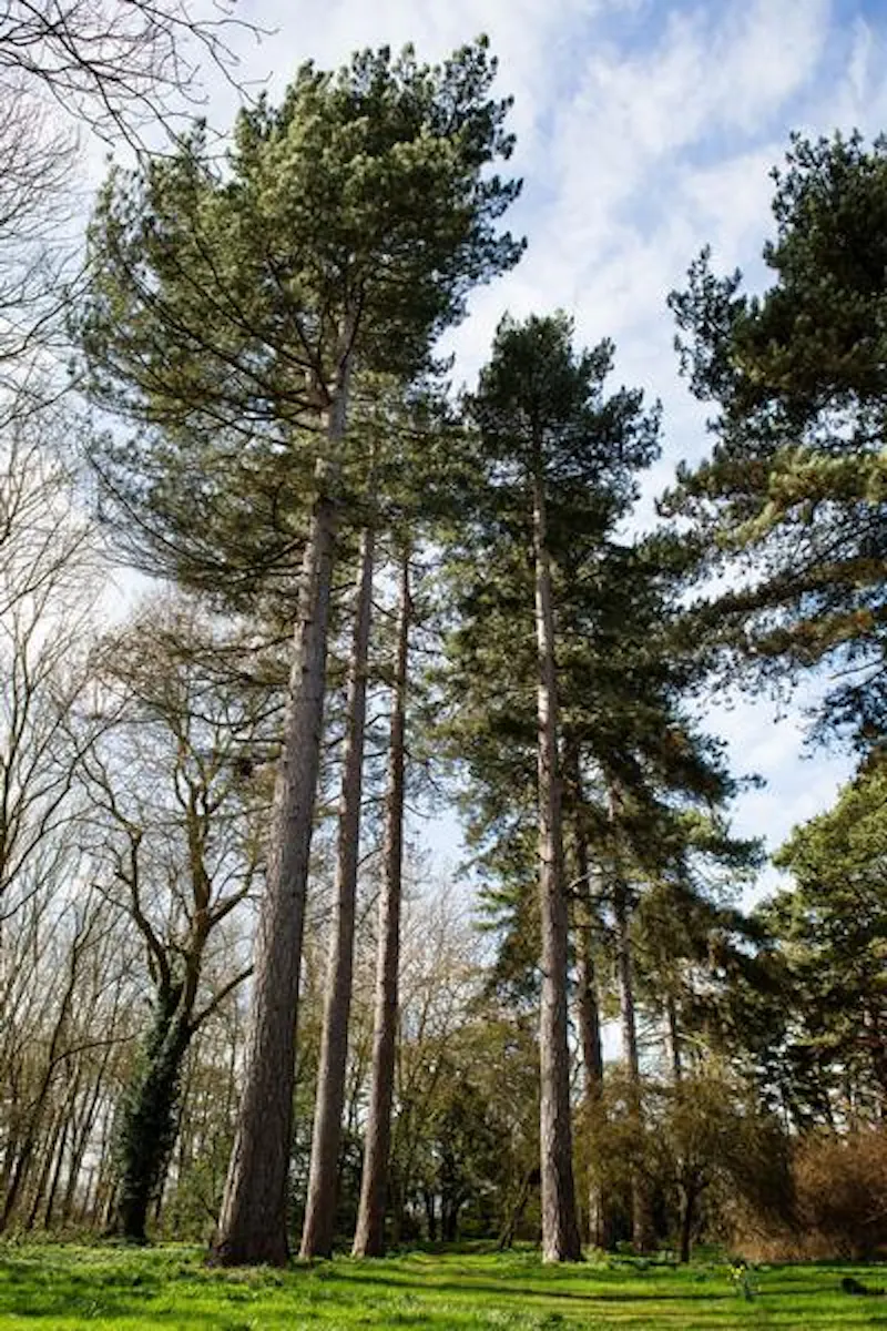 Film location A1522 in Leicestershire (photo 29)