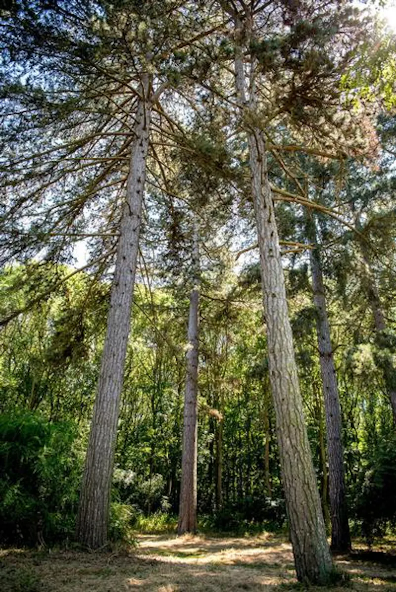 Film location A1522 in Leicestershire (photo 30)