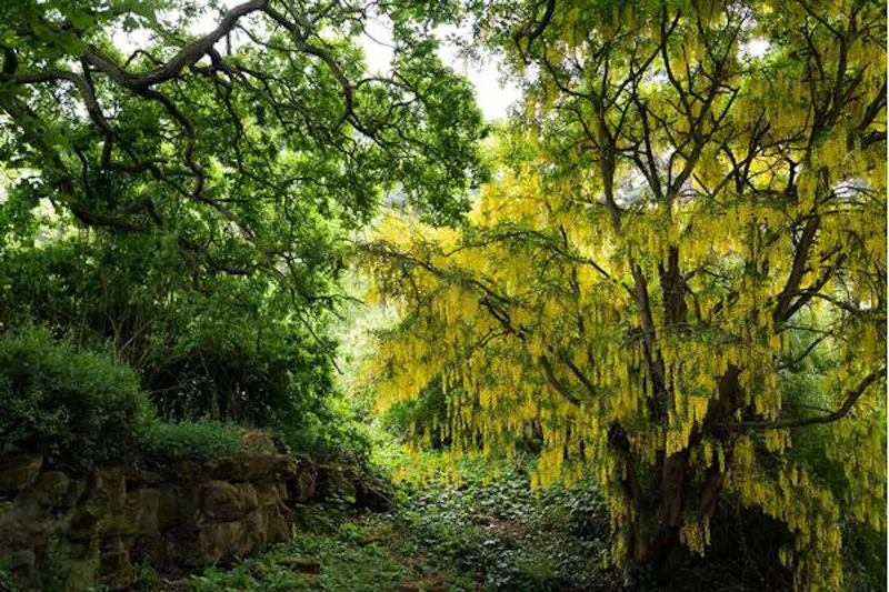 Film location A1522 in Leicestershire (photo 36)