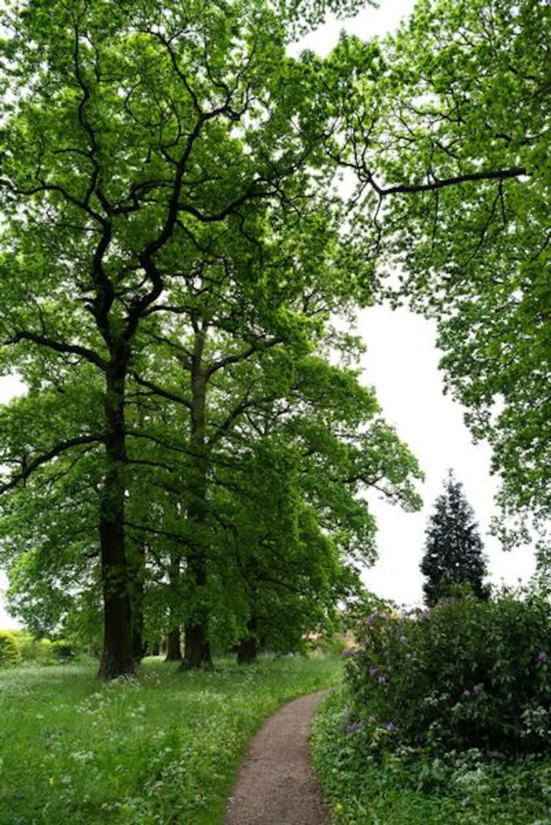 Film location A1522 in Leicestershire (photo 37)