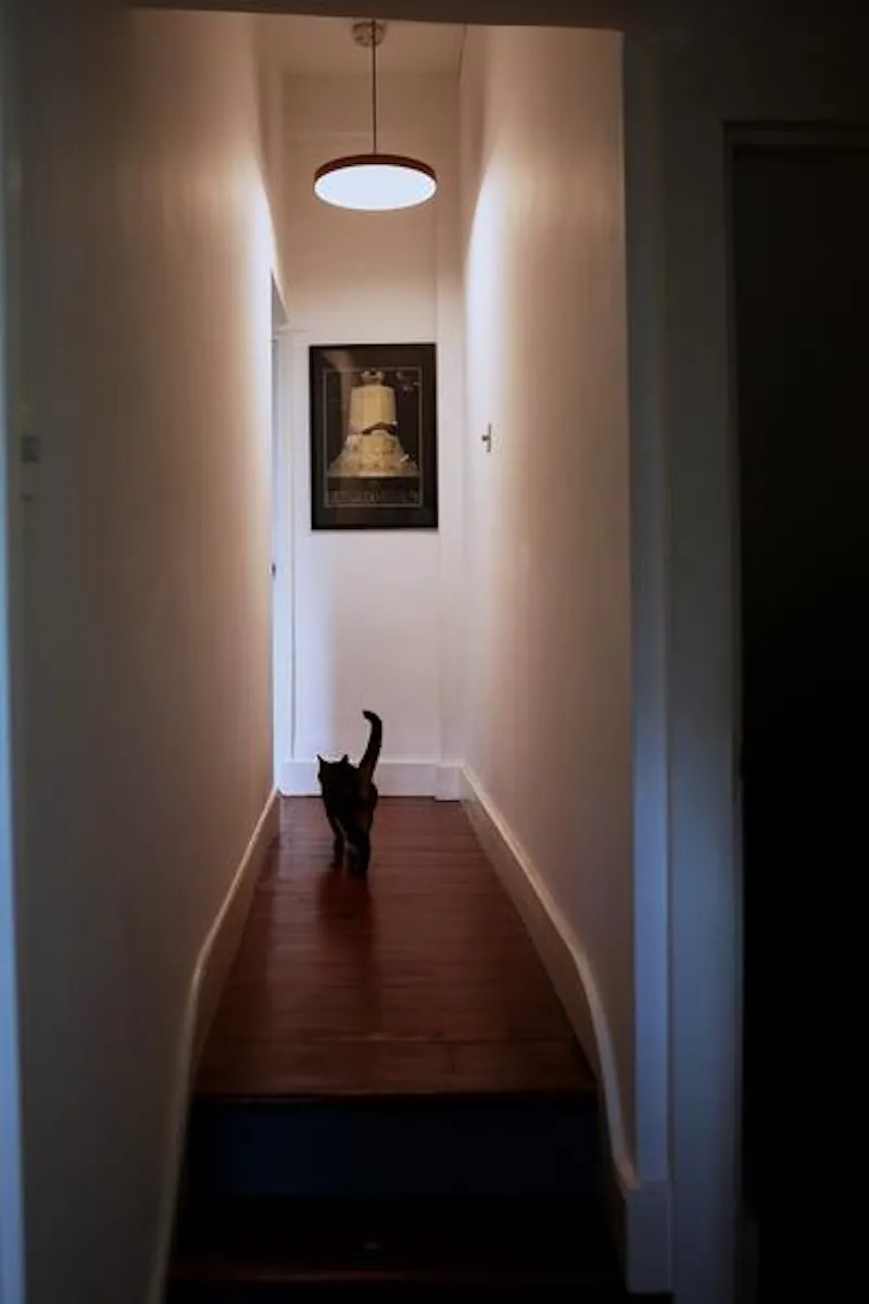 Hackney Victorian flat, F1195 (photo 19)