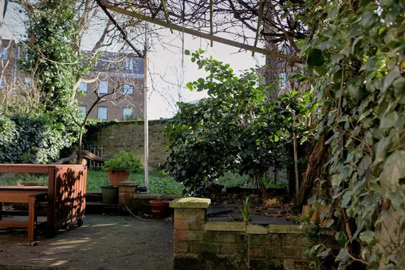 Garden at Hackney Victorian flat, F1195 (photo 25)