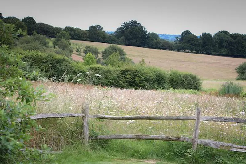 Views - country at Film location D2459 in Kent (photo 14)