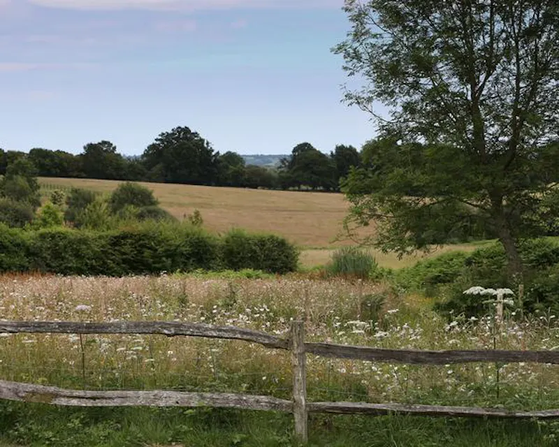 Film location D2459 in Kent (photo 12)