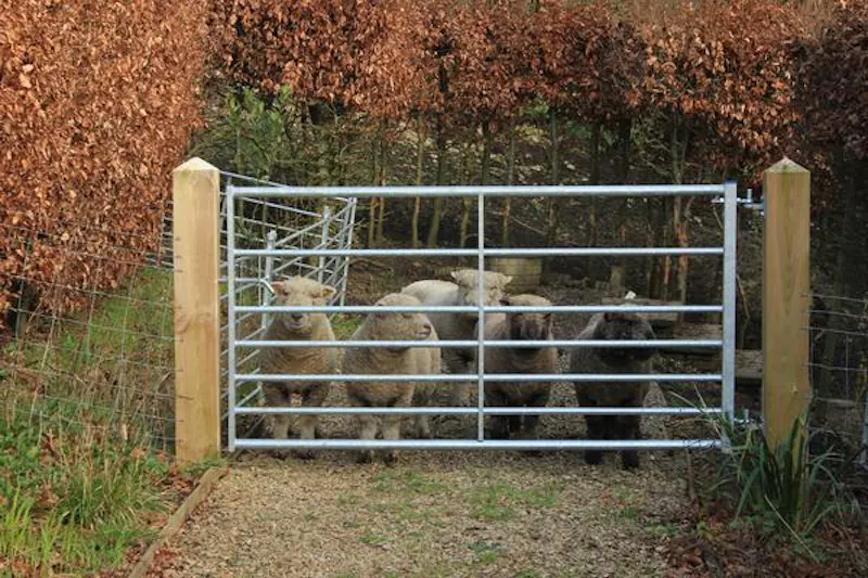 Film location A1525 in Wiltshire (photo 70)