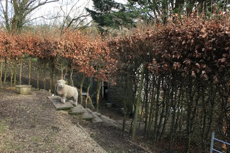 Film location A1525 in Wiltshire (photo 71)