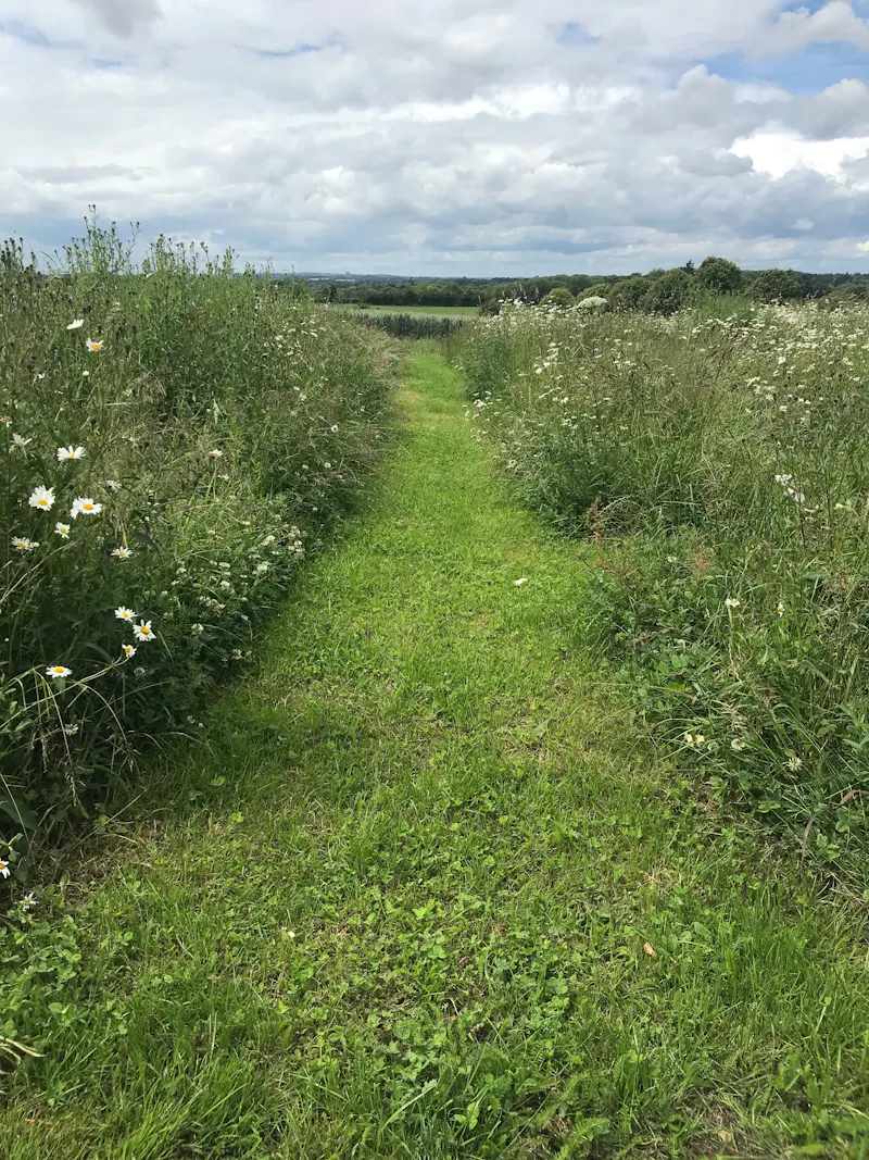 Views - country at Choosey Farm, North Warnborough, L714 (photo 28)