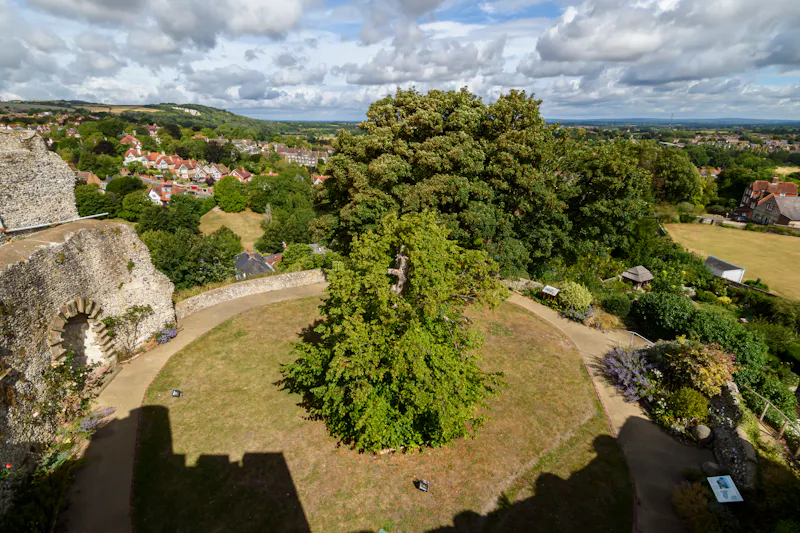 Historic Lewes castle, G313 (photo 20)