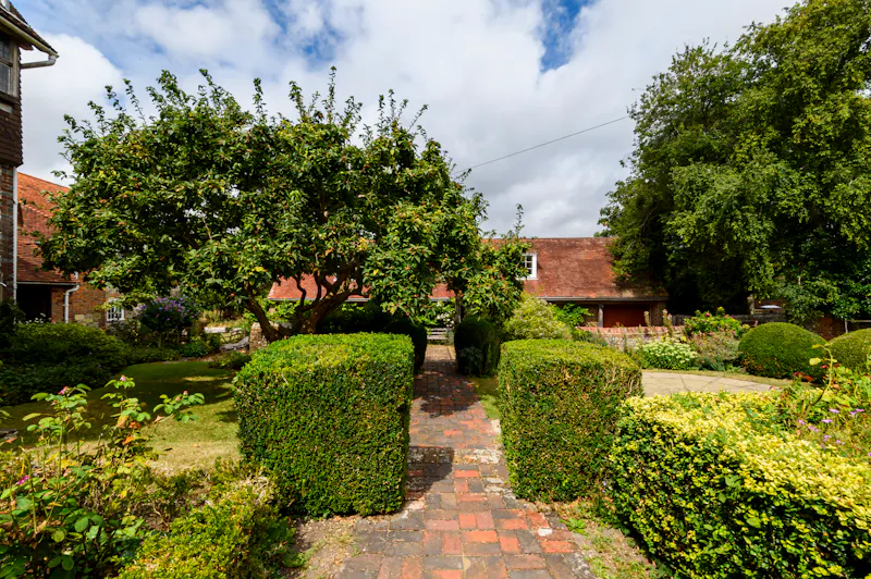 Historic Lewes hall-house, M342 (photo 31)