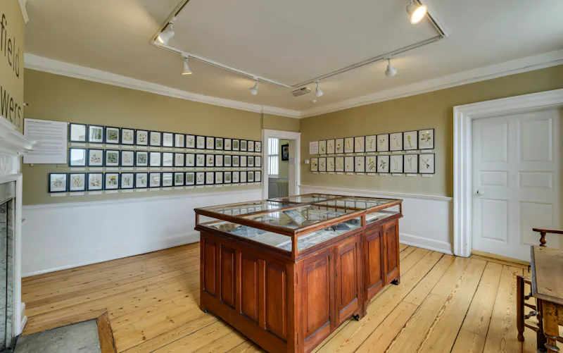 Lewes Georgian museum, A1532 (photo 9)