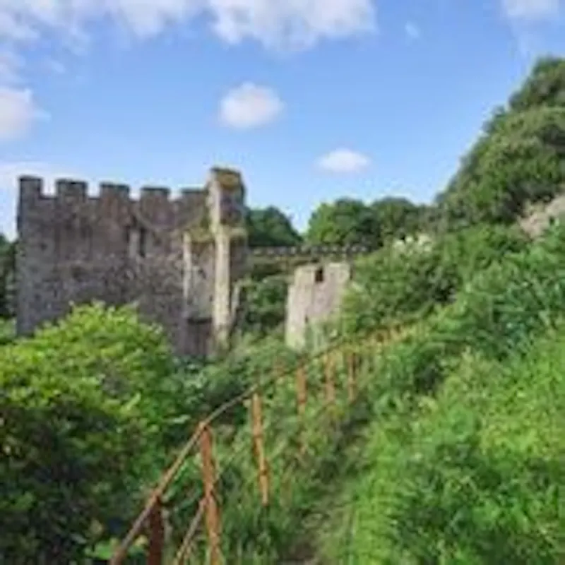 Cornish castle and gardens, G307 (photo 78)