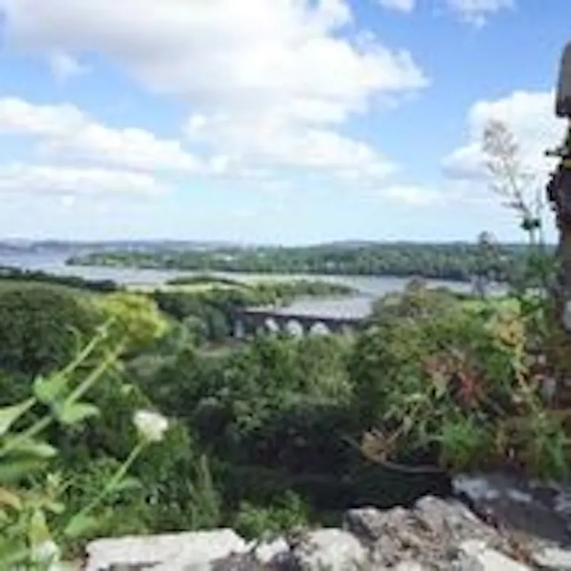 Cornish castle and gardens, G307 (photo 76)