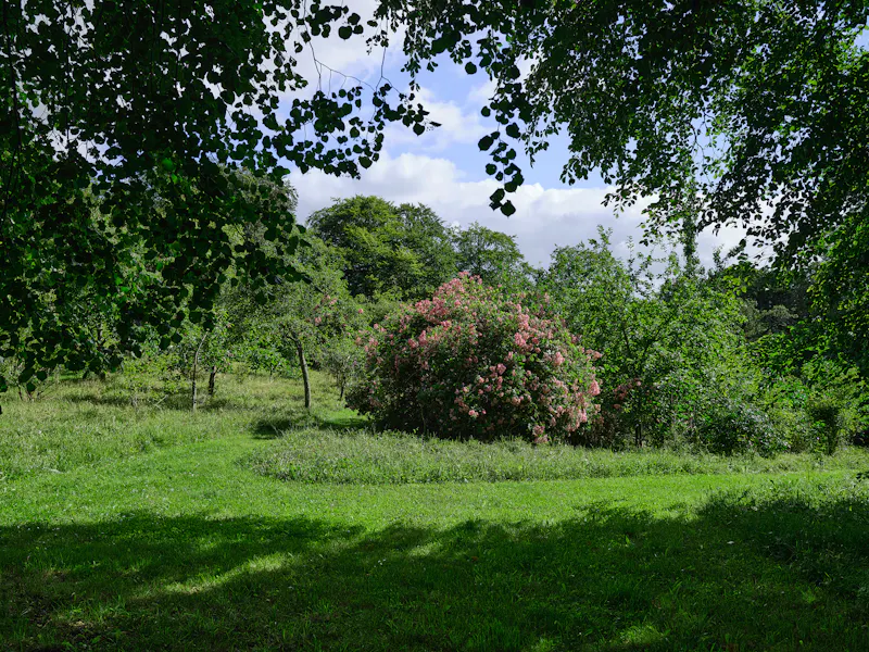 Cornish castle and gardens, G307 (photo 81)