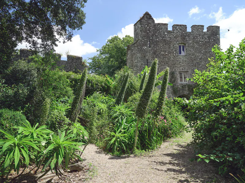 Garden at Cornish castle and gardens, G307 (photo 84)