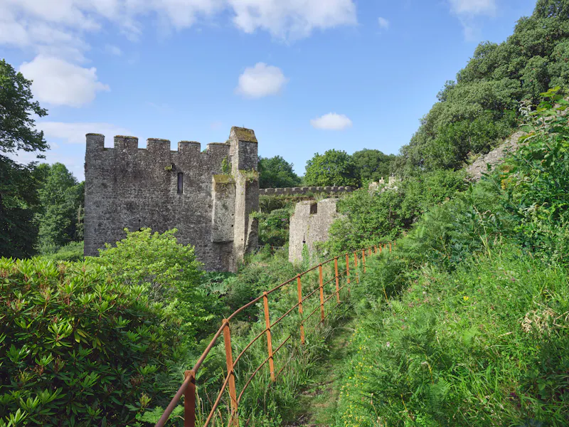 Cornish castle and gardens, G307 (photo 83)