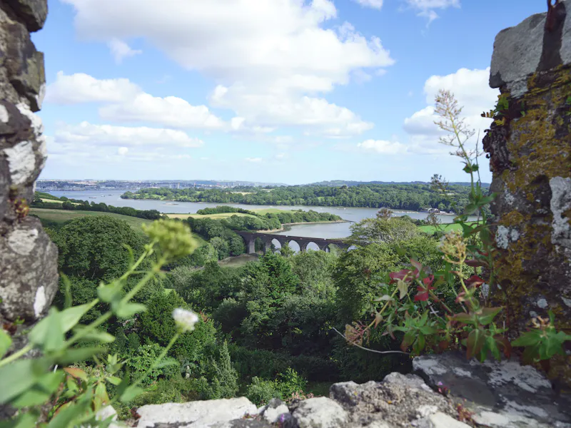 Views - sea at Cornish castle and gardens, G307 (photo 79)