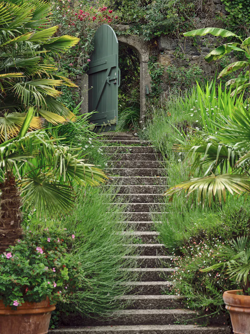 Cornish castle and gardens, G307 (photo 68)