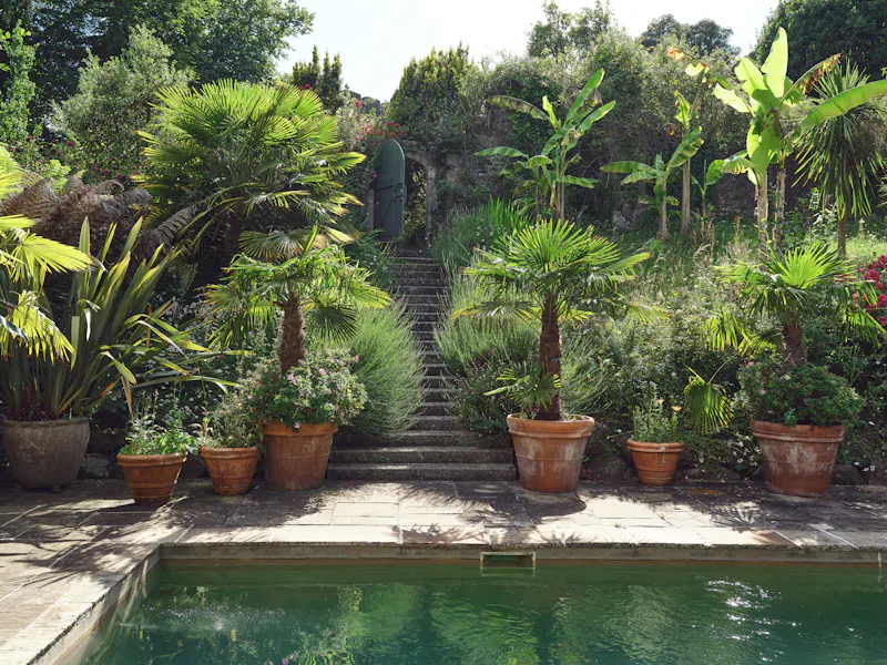 Cornish castle and gardens, G307 (photo 65)