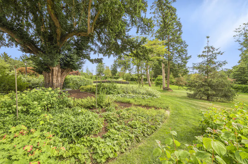 Luxurious Berkhamsted mansion, A1533 (photo 40)