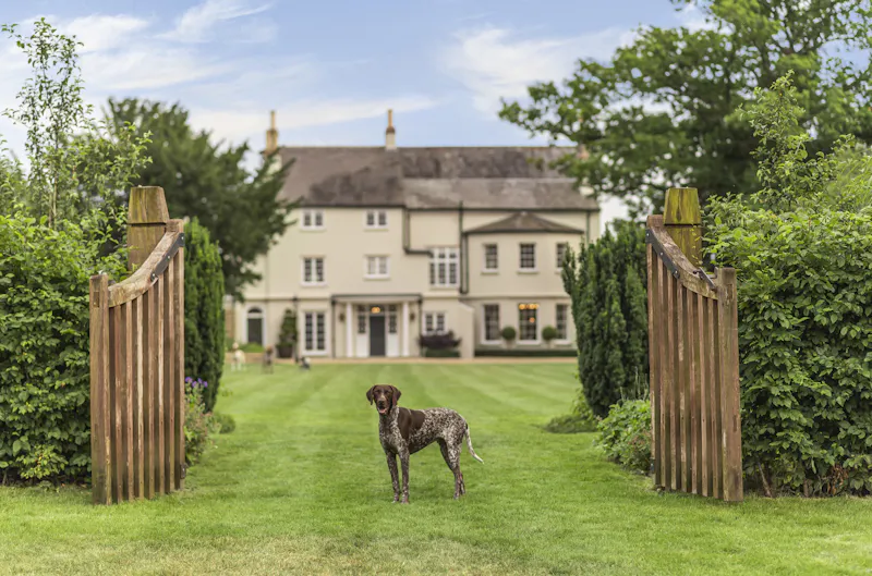 Luxurious Berkhamsted mansion, A1533 (photo 46)