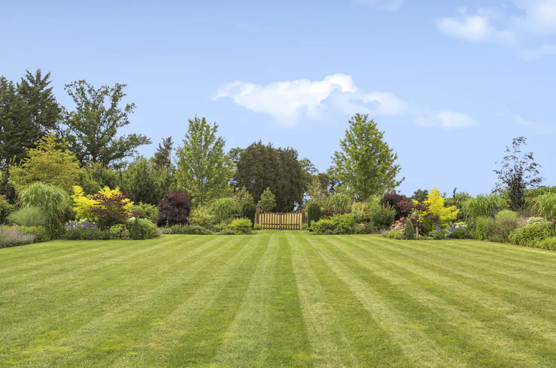Garden at Luxurious Berkhamsted mansion, A1533 (photo 48)