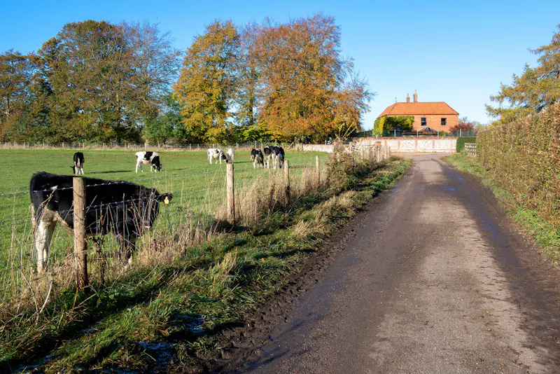 Versatile farm in Wallingford, L716 (photo 41)