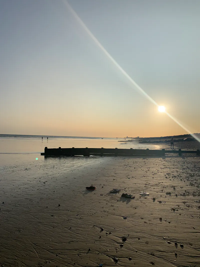 Bungalow in Shoreham-by-Sea, D2578 (photo 55)