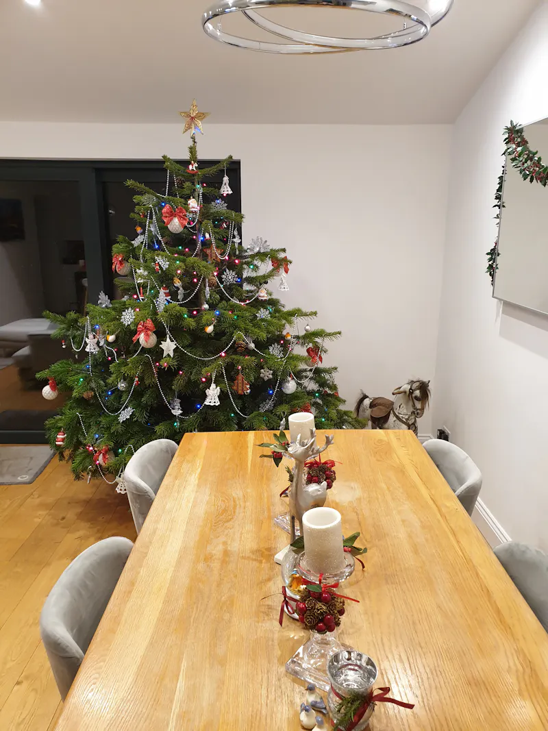 Watford family house, D2472 (photo 7)