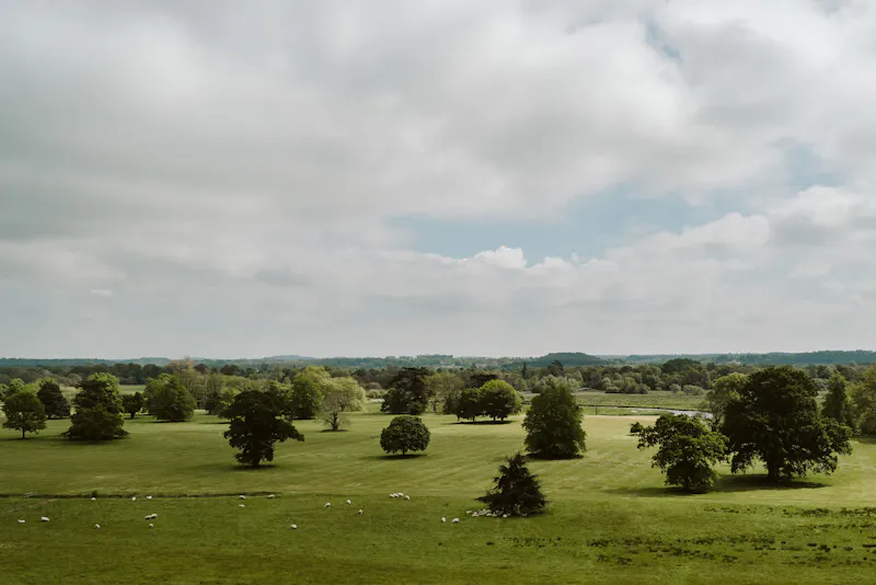 Hampshire stately and Estate, A1537 (photo 52)