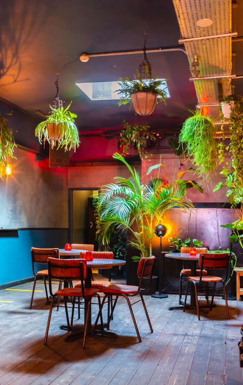 Peckham nightclub bar , R845 (photo 3)