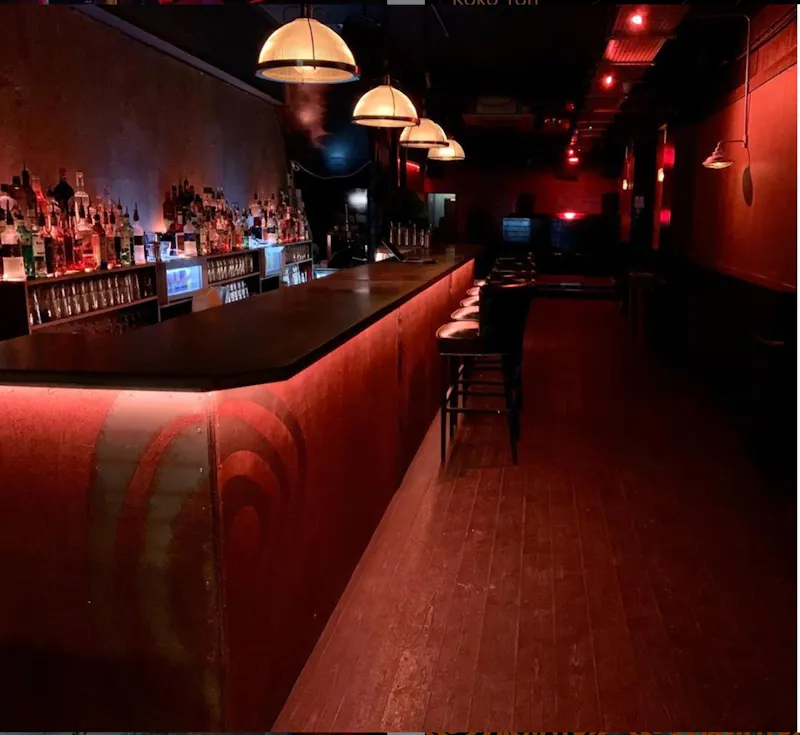 Peckham nightclub bar , R845 (photo 5)