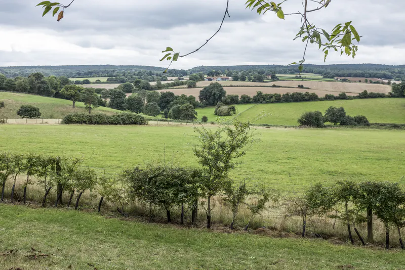Views - country at Guildford country house, B1902 (photo 24)