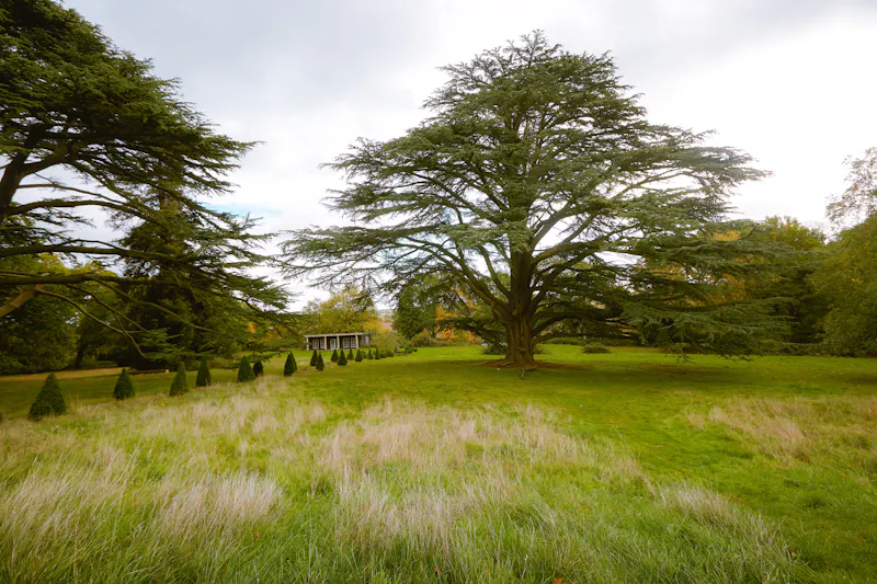 Garden at Bracknell Georgian mansion, A1539 (photo 79)