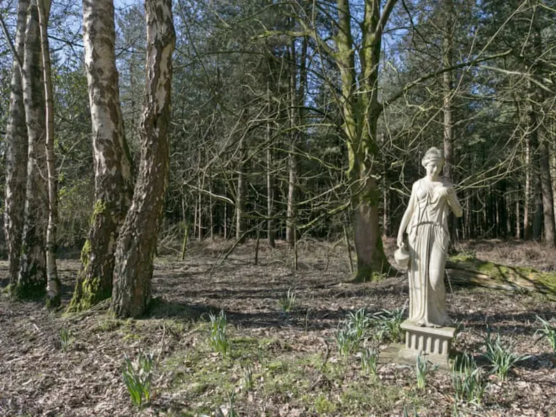 Woodland at Gothic Hilborough hunting lodge, G316 (photo 19)