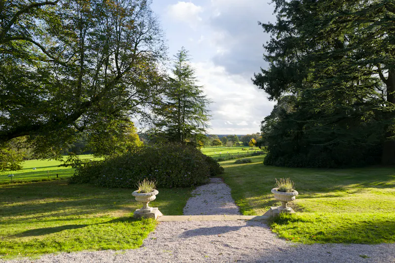 Woodland at Devon Georgian House, A1592 (photo 44)