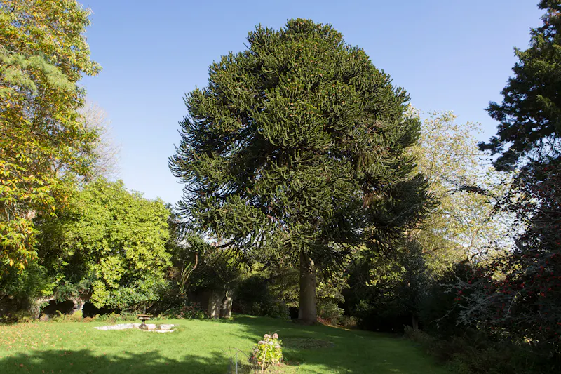 Views - country at Devon Georgian House, A1592 (photo 43)